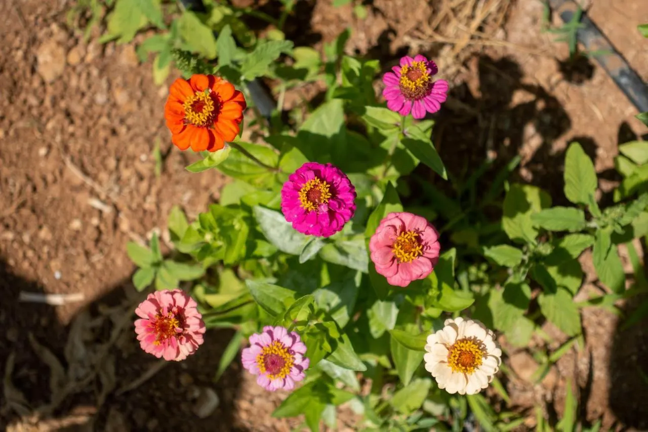 Appartamento In Campagna A Sciacca Holiday home