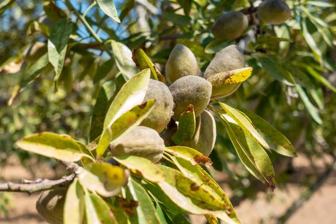 Appartamento In Campagna A Sciacca