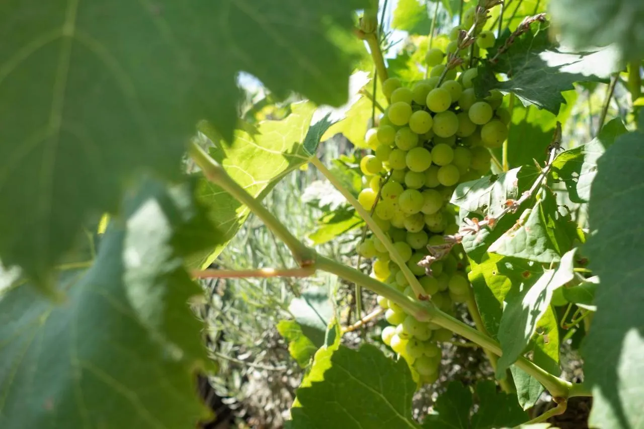 Holiday home Appartamento In Campagna A Sciacca