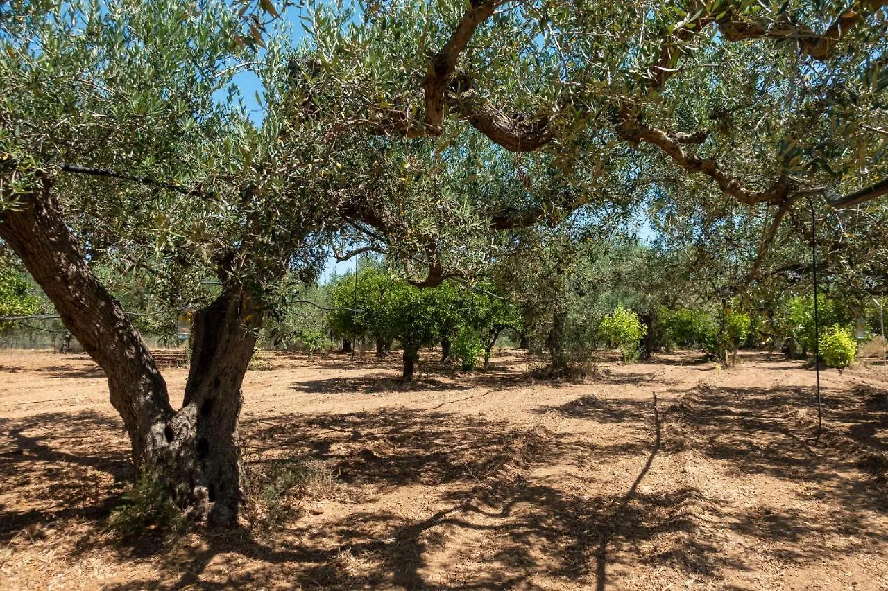 Appartamento In Campagna A Sciacca contacts